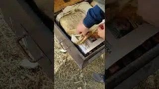 Асалариларга кишда озука бериш 1 кисм.
