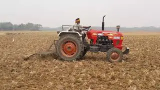 Eicher 484 ploughing paddy field with 9pin cultivator in odisha