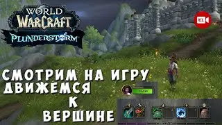 Смотрим на игру и движемся к вершине - Стрим WoW Plunderstorm