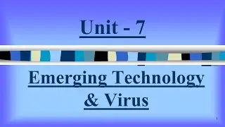 Computer Fundamental | Chapter - 7
