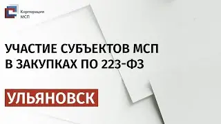 Онлайн семинар МСП г. Ульяновск