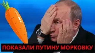 Показали Путину морковку
