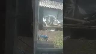 ЧЁ
