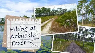 Hiking the Arbuckle Tract of Lake Wales Ridge State Forest in Frostproof, FL