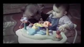 5 мая 2016 г.