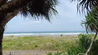 DUDUK DI BAWAH POHON PANDAN MEMANDANG KEINDAHAN DI PANTAI