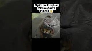 Si eres de barrio… EXPLÍCAME ESTO por favor 😰