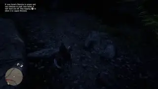 Chapter 2: Red Dead Redemption 2