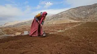 Rural and nomadic life: Ali Agha's love for life and his wife at a glance: nomadic life