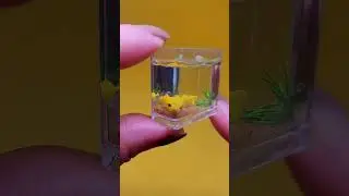 My Mini Fish