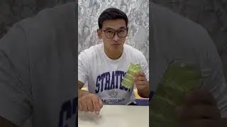 Dunyodegi eng qimmat Baqani Tuqumi🐸🥚