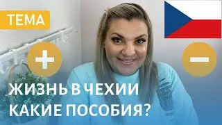 Жизнь Инвалида В Чехии 🇨🇿 Пособия, Льготы. Плюсы И Минусы Жизни В Чехии | В чем Отличие?