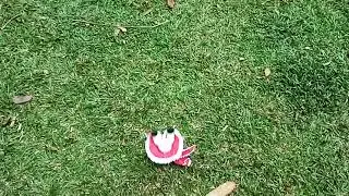 Fumo Touches Grass