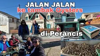 LIAT TAMBAK OYSTERS SEKALIAN BELI UNTUK DI BAWA KE SPANYOL