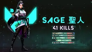 Sage 41 Kills - Valorant (Hindi)