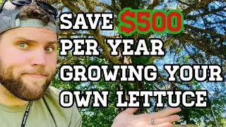 Gardening Hacks- Can a Garden Save You Money?