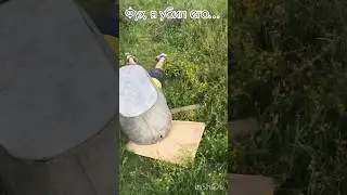 Я убил первого древесного демона! Tanks blitz.#присоединяйтесь#комне.