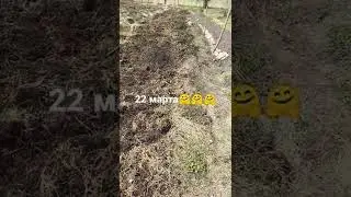 Культивация огорода.