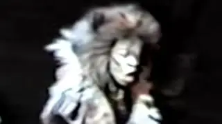 CATS Terrence Mann as Rum Tum Tugger '84