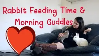 Morning Time with Rabbits: Rabbit Feeding Time and Morning Cuddles.