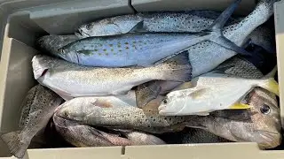 fishing Galveston south jetty