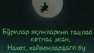 Халол хунар...Фозил кори