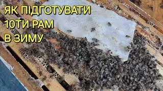 Як підготувати 10ти рам а зиму #бджільництвов6тирамвуликах