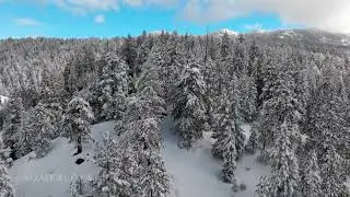 Boise National Forest project footage