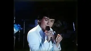 Pupo Enzo Ghinazzi   Bravo 1982