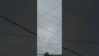 Бәрәкәт