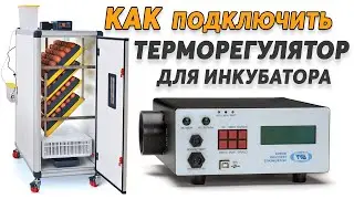 Как подключить сложный терморегулятор к инкубатору, и не только. Влажность, нагрев, переворот яиц.