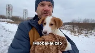Спасённая Эля из приюта «Щербинка» уехала домой! Проект помощи 