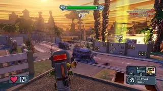 Why was i not taking damage (PVZGW1)