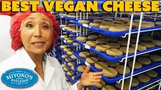 BEST Vegan Cheese & How It's Made - Miyoko's Kitchen Tour VEGANTRAVEL#29