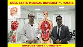 Anatomy Department of Orel state medical University overview
