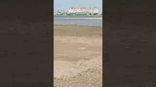 Белые -хотят еще белее.