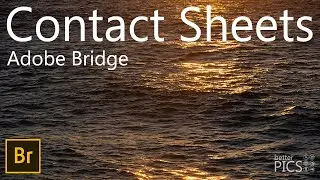 How to create Contact Sheets in Adobe Bridge | #ContactSheets #AdobeBridge #EditWorkflow
