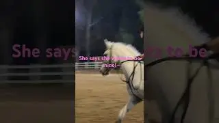 THERE IS THIS HORSE LETS NAME HER SPRITE!
