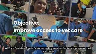 Providing accessible vet care to communities in India