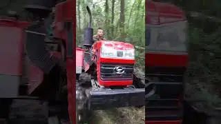 Shifeng 244 в лісі