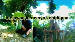 Ular belang #petualanganalamdesaku