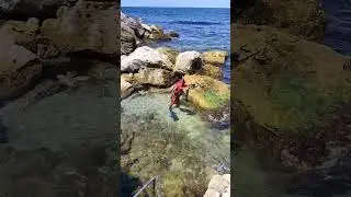 Черное море 2024