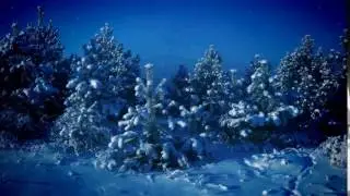 ФУТАЖ  СКАЗОЧНЫЙ ЛЕС