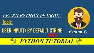 Prove with Code user input takes by default string || python user input by default string 