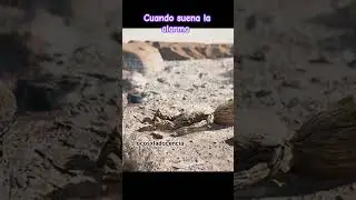 cuando tenes que ir a trabajar