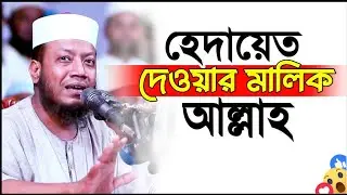 হেদায়েত দেওয়ার মালিক একমাত্র আল্লাহ! নবী হবেও আপন চাচাকে হেদায়েত দিতে পারলোনা