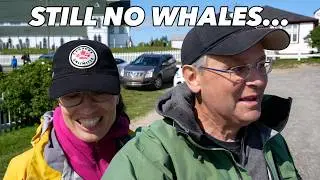 Summer Vacation Fun! Flying Across Newfoundland Looking For Whales.