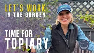 Let’s Work in the Garden! My Container Planting at the Cottage