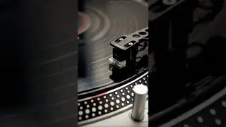 Valerie Dore - The night (Revibe by Dario Caminita)