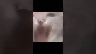 oh he's not happy
